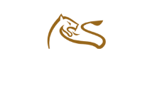 Тинтява Експлорешън АД